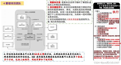 信息系统集成服务中的项目人力资源管理